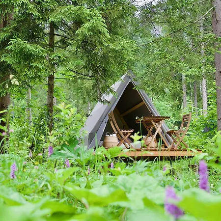 Camping Treinke *